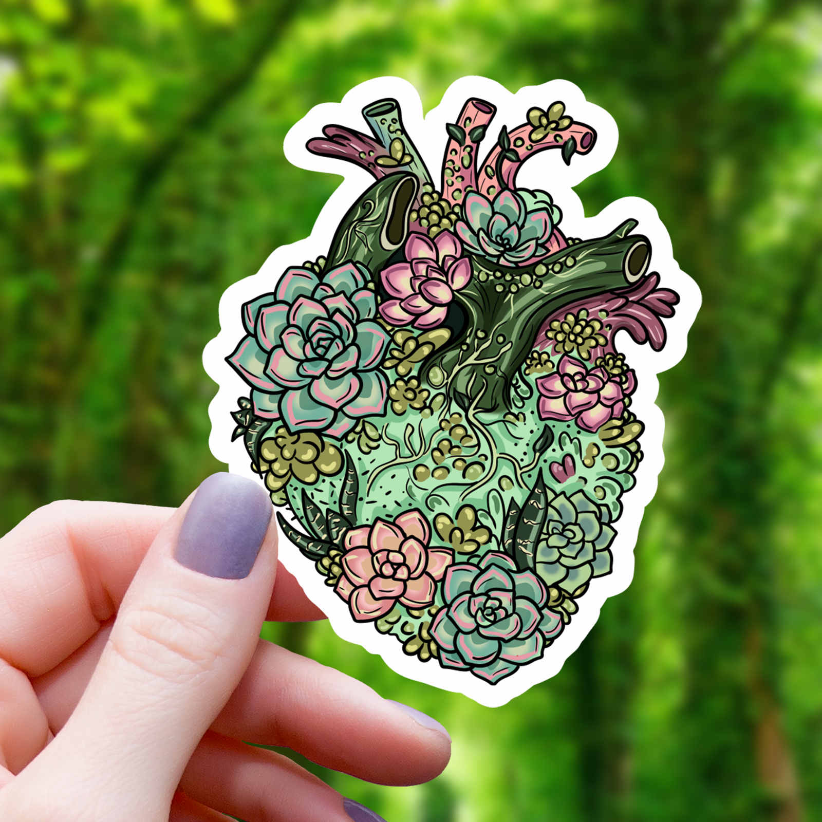 Succulent Heart Sticker - 3"