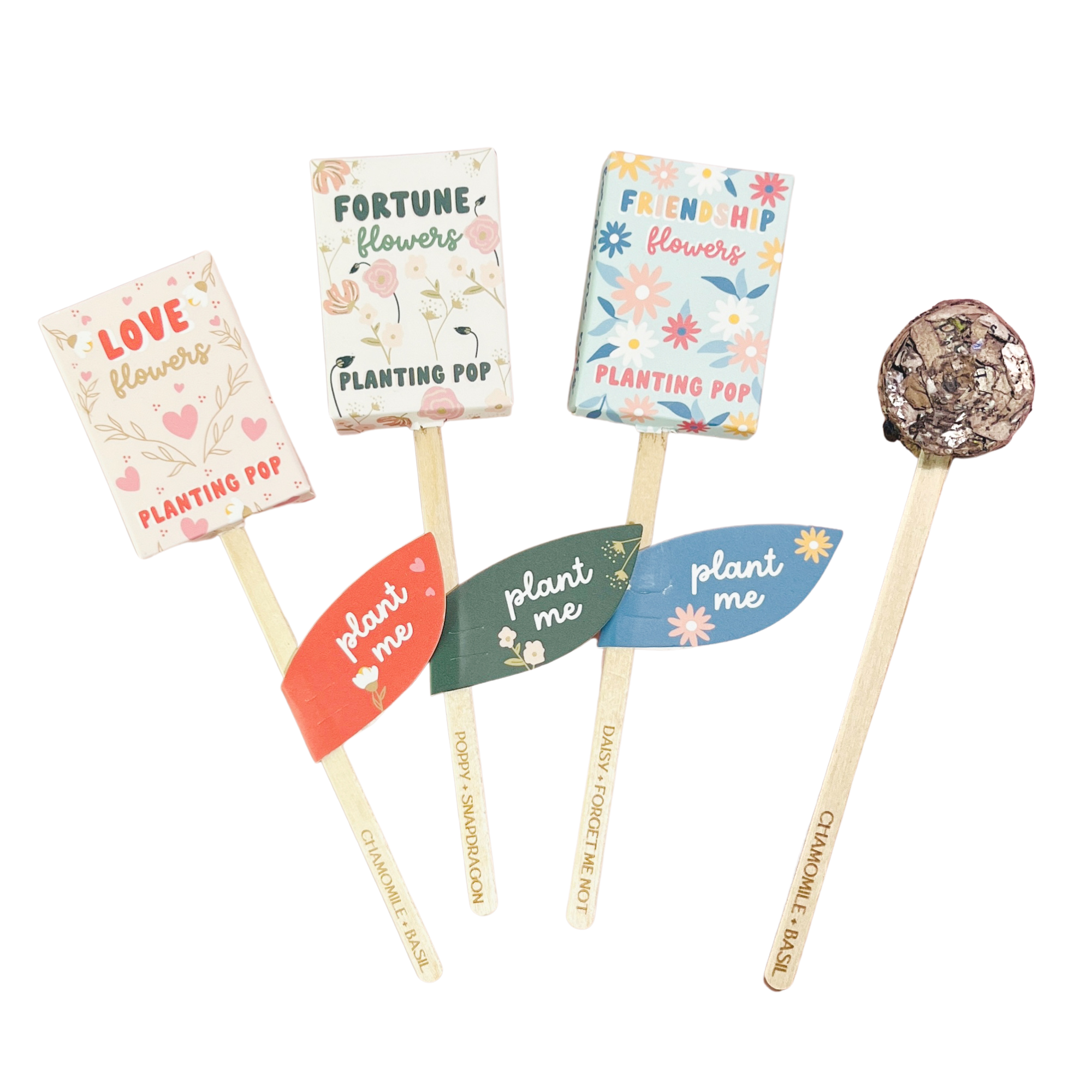 Garden + Gift Seed Planting Pops - Choose from 3 Styles