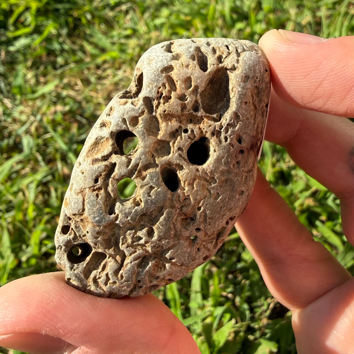 Hag Stone 1" - 4" | Natural Worry & Protection Stone