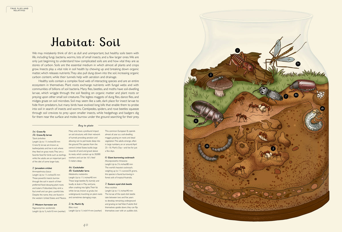 Insectarium: A Captivating Illustrated Guide to the World of Bugs