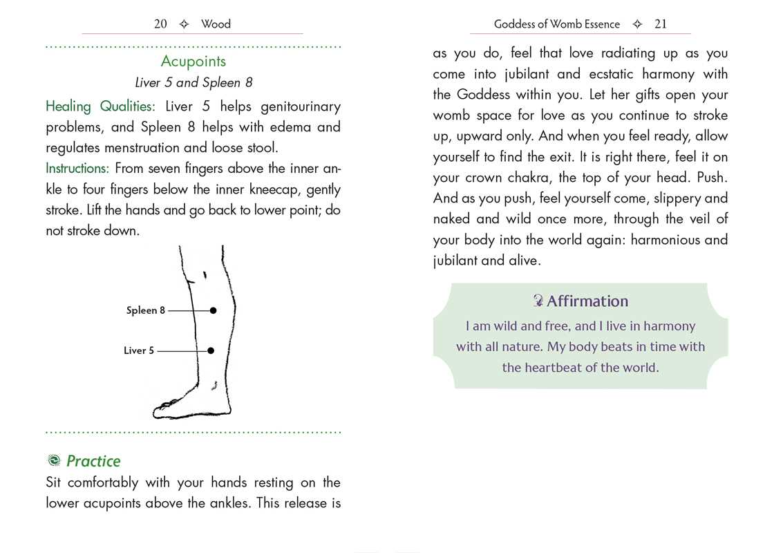 Elemental Goddess Oracle by Bronwyn Millar