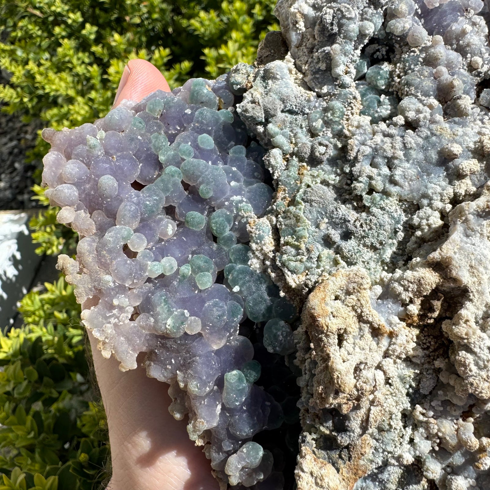 Large Natural Grape Agate Cluster | For Intuition & Higher Awareness