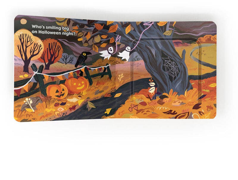 Pumpkin Baby! Lift Flap Book