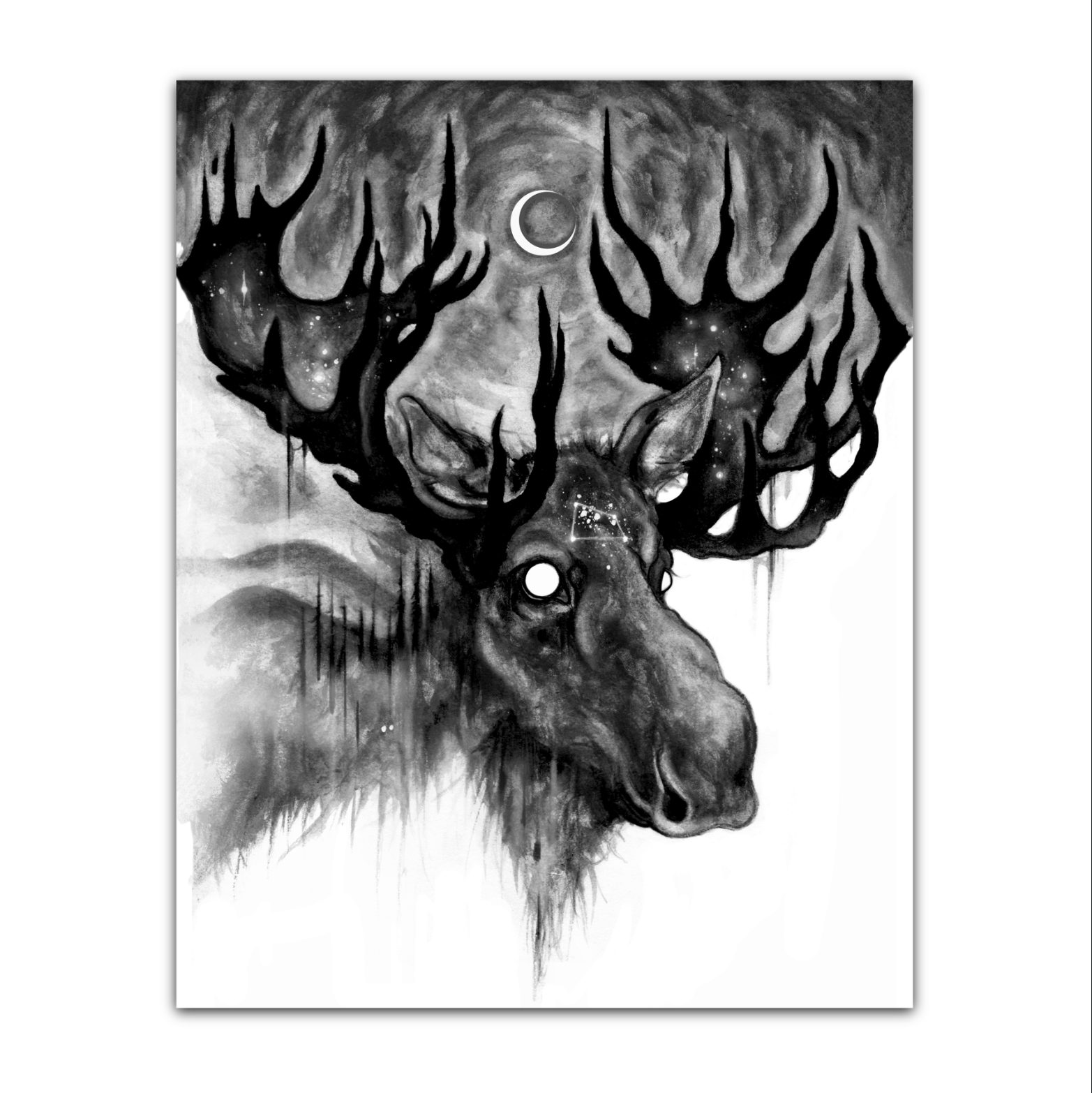Taphead - Moose Art Print