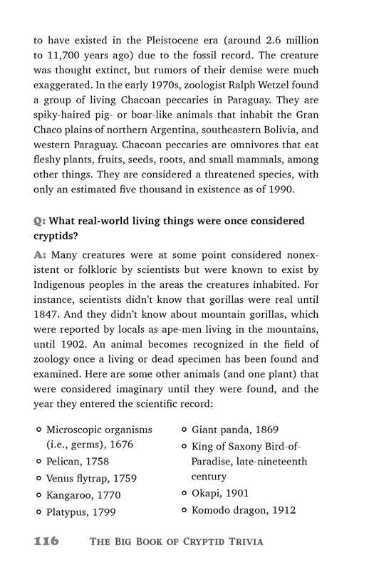 Big Book of Cryptid Trivia by Bernadette Johnson