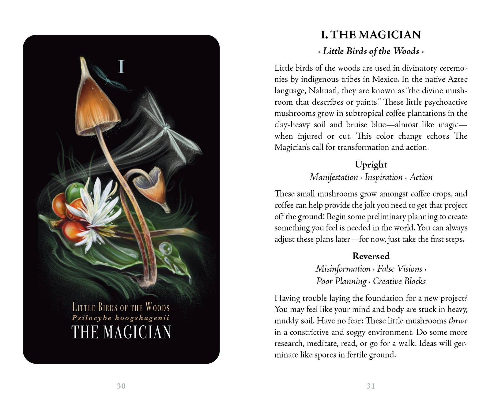 Midnight Magic Tarot by Sara Richard