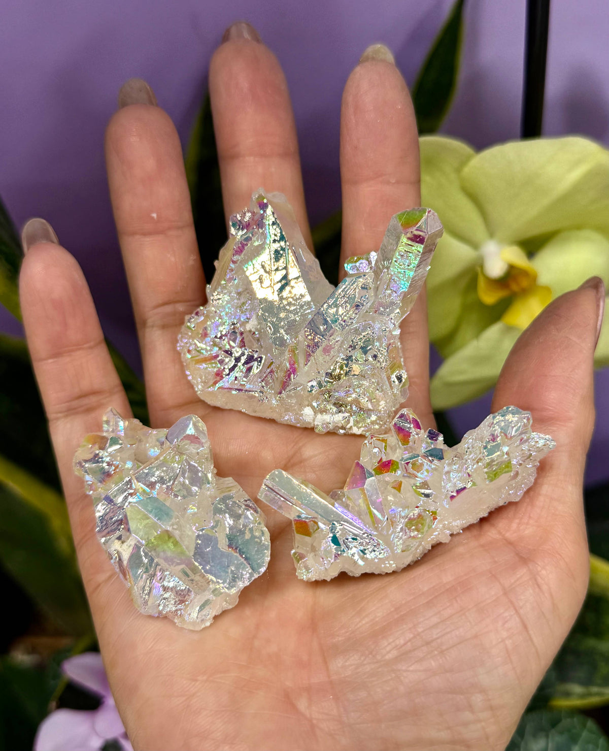 Angel Aura Quartz Cluster Crystal