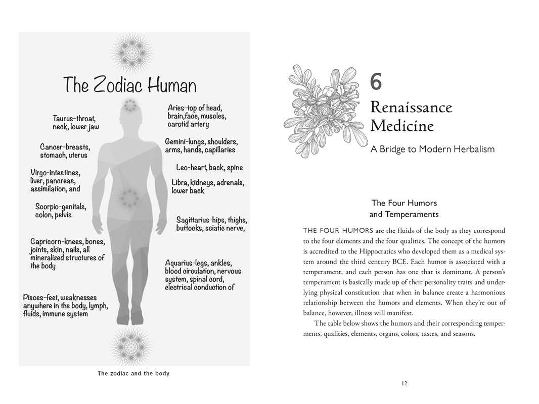 Della Medicina by Lisa Fazio