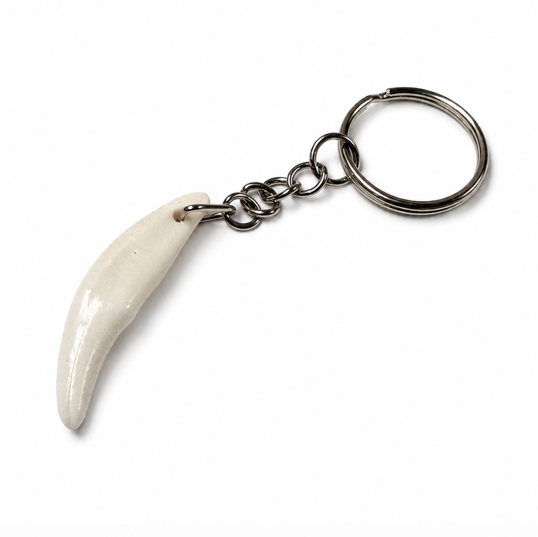 Coyote Tooth Keychain