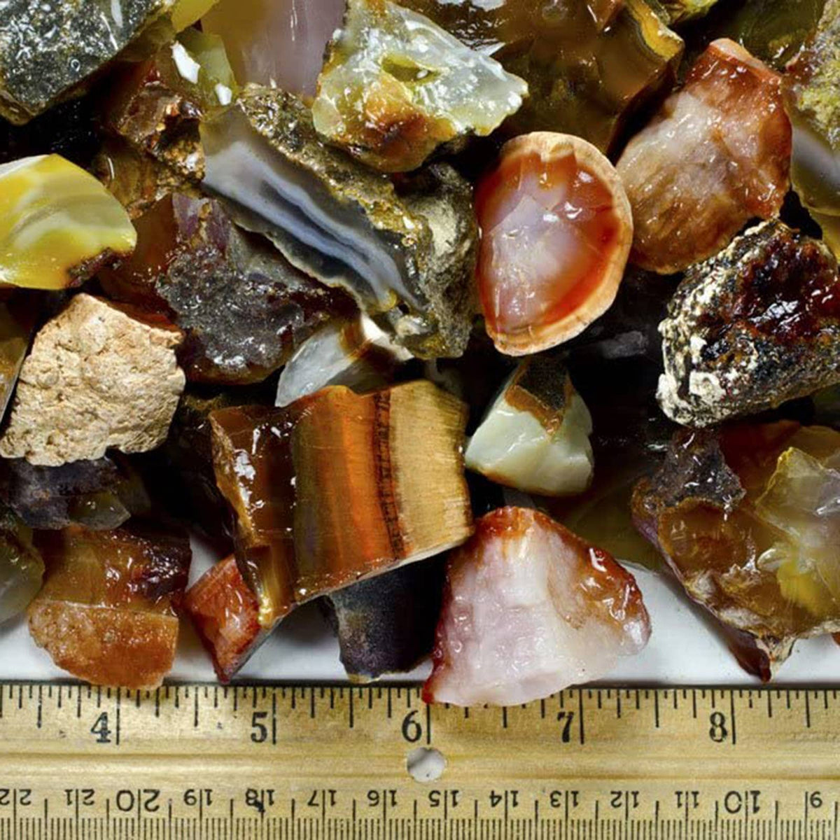 Carnelian Natural Gemstone | Creativity, Passion & Self-Confidence