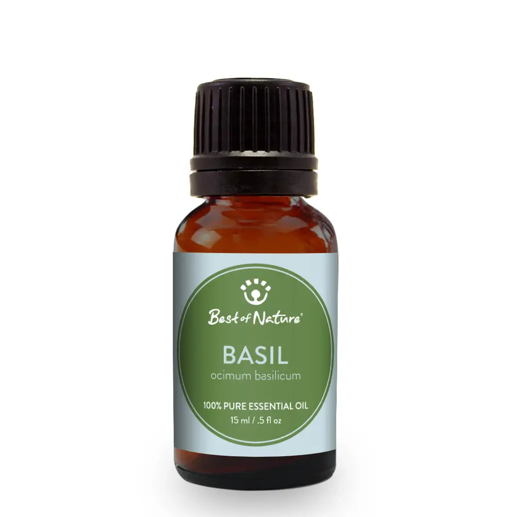 Sweet Basil Essential Oil