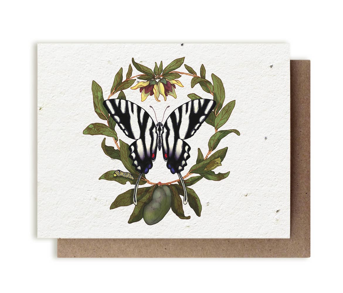 Zebra Swallowtail Butterfly &amp; Pawpaw Plantable Herb Card