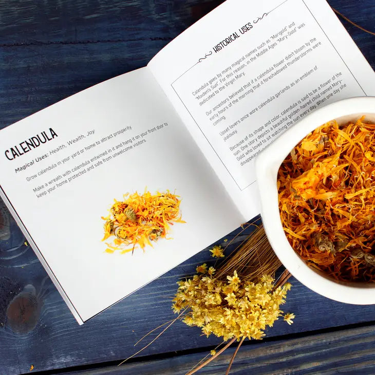 Moon Child Altar Kit with 10 Herbs, crystals, and spell book