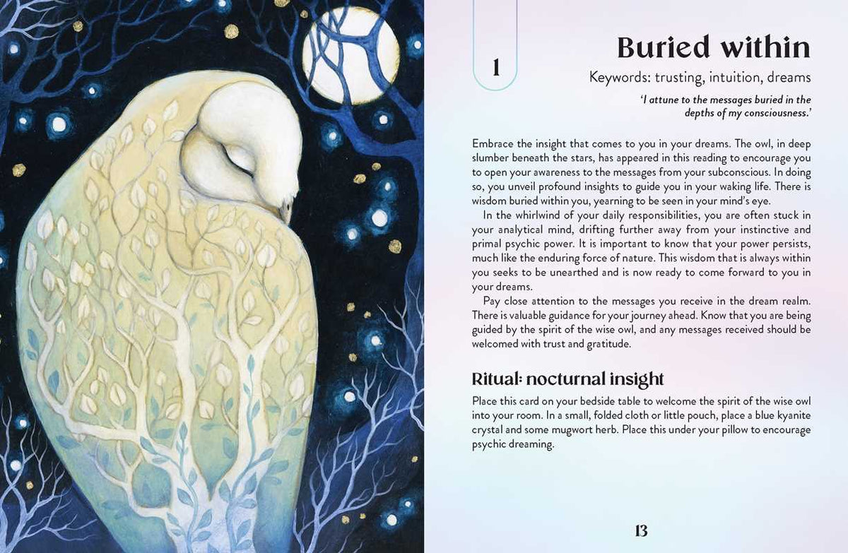 Enchanted Earth Oracle by Jessica Lahoud