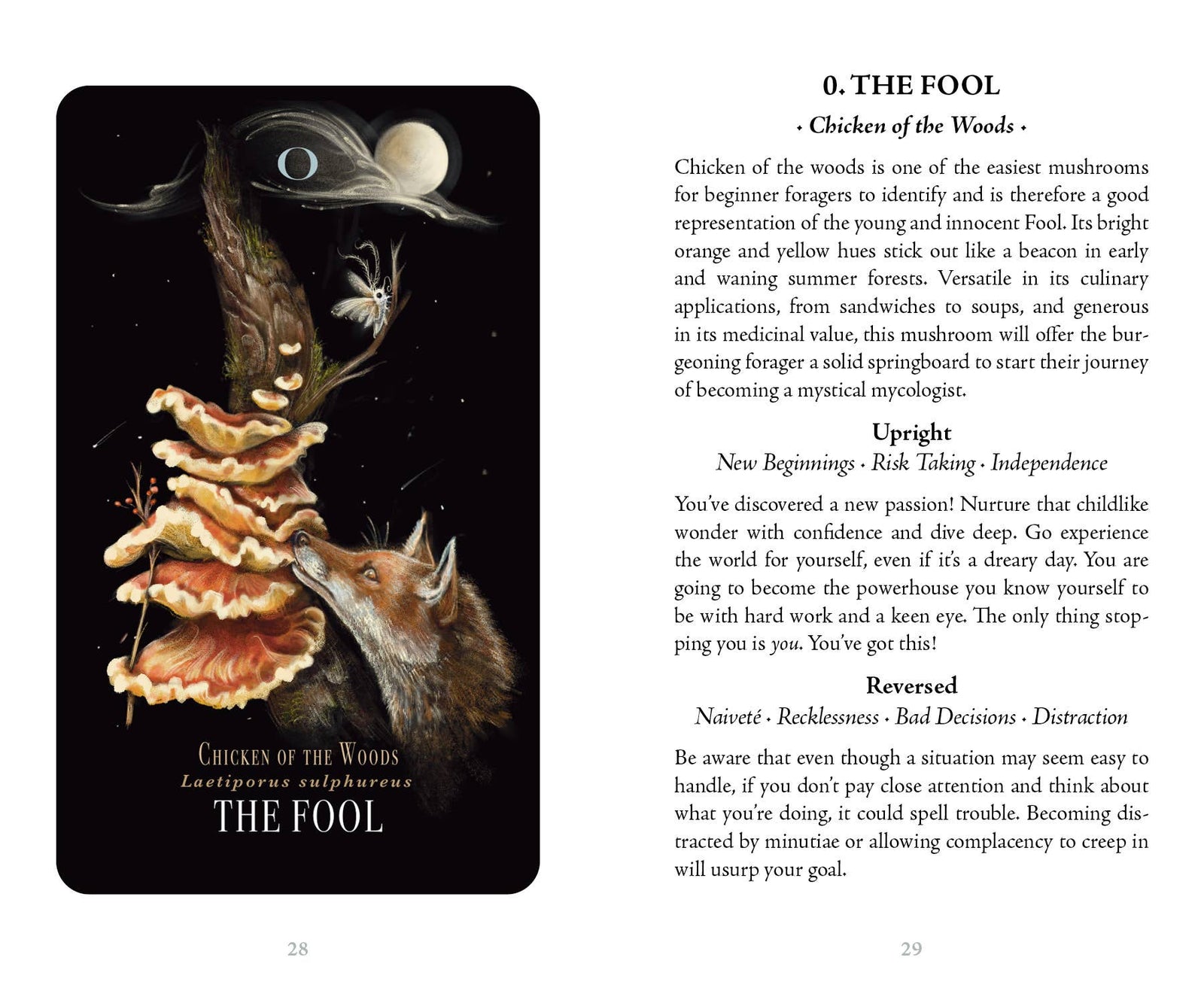 Midnight Magic Tarot by Sara Richard