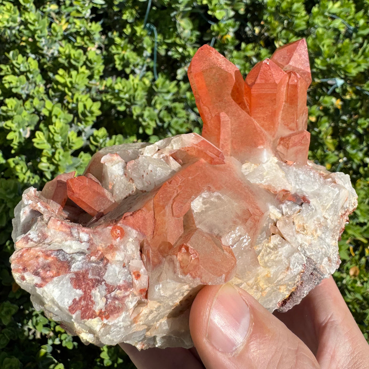 Moroccan Red Quartz Cluster Natural Gemstone