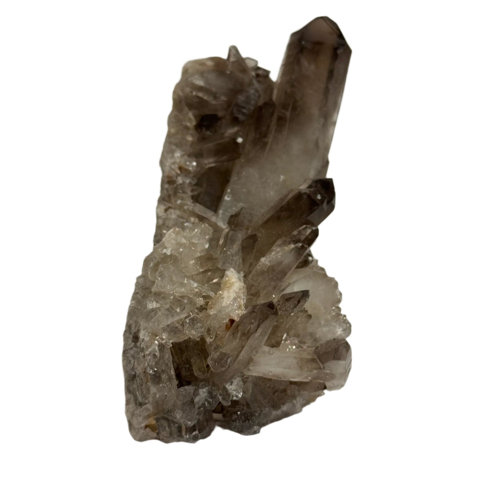 Smoky Quartz Cluster Natural Specimen