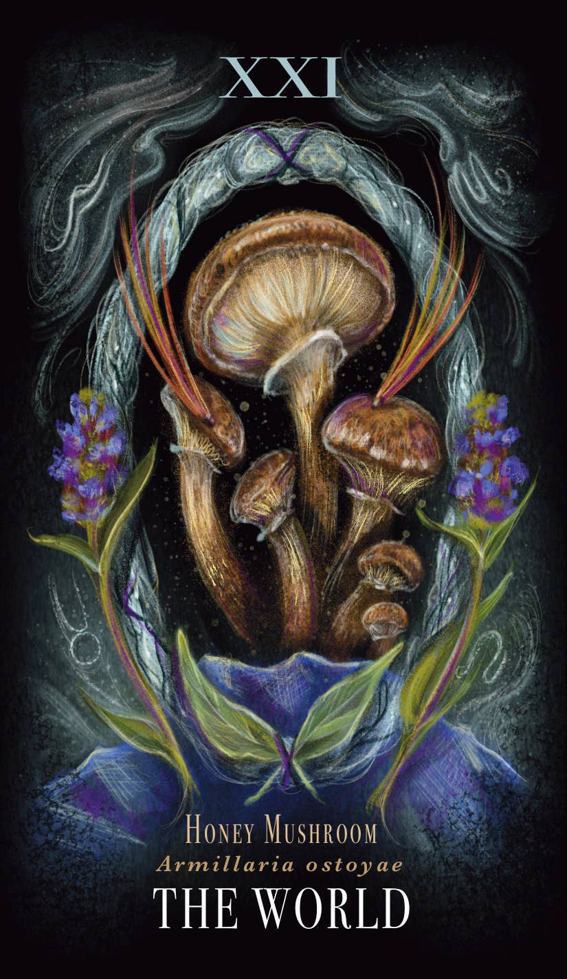 Midnight Magic Tarot by Sara Richard