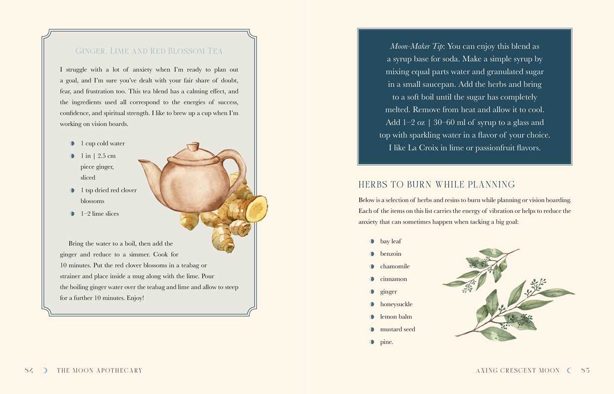 Moon Apothecary by Lorriane  Anderson