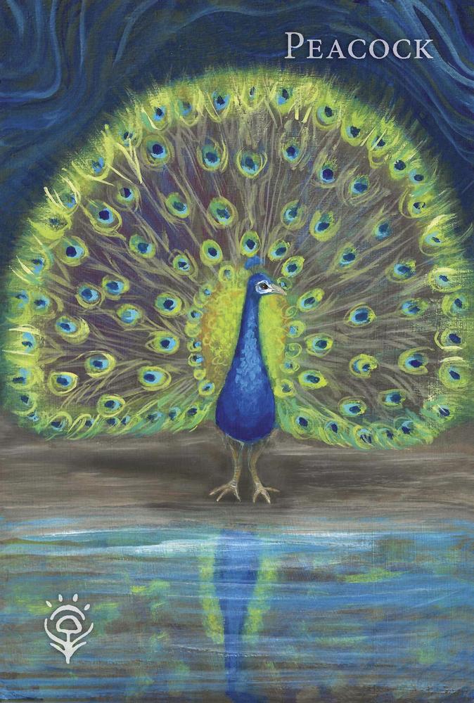 A Witch's Ally Oracle