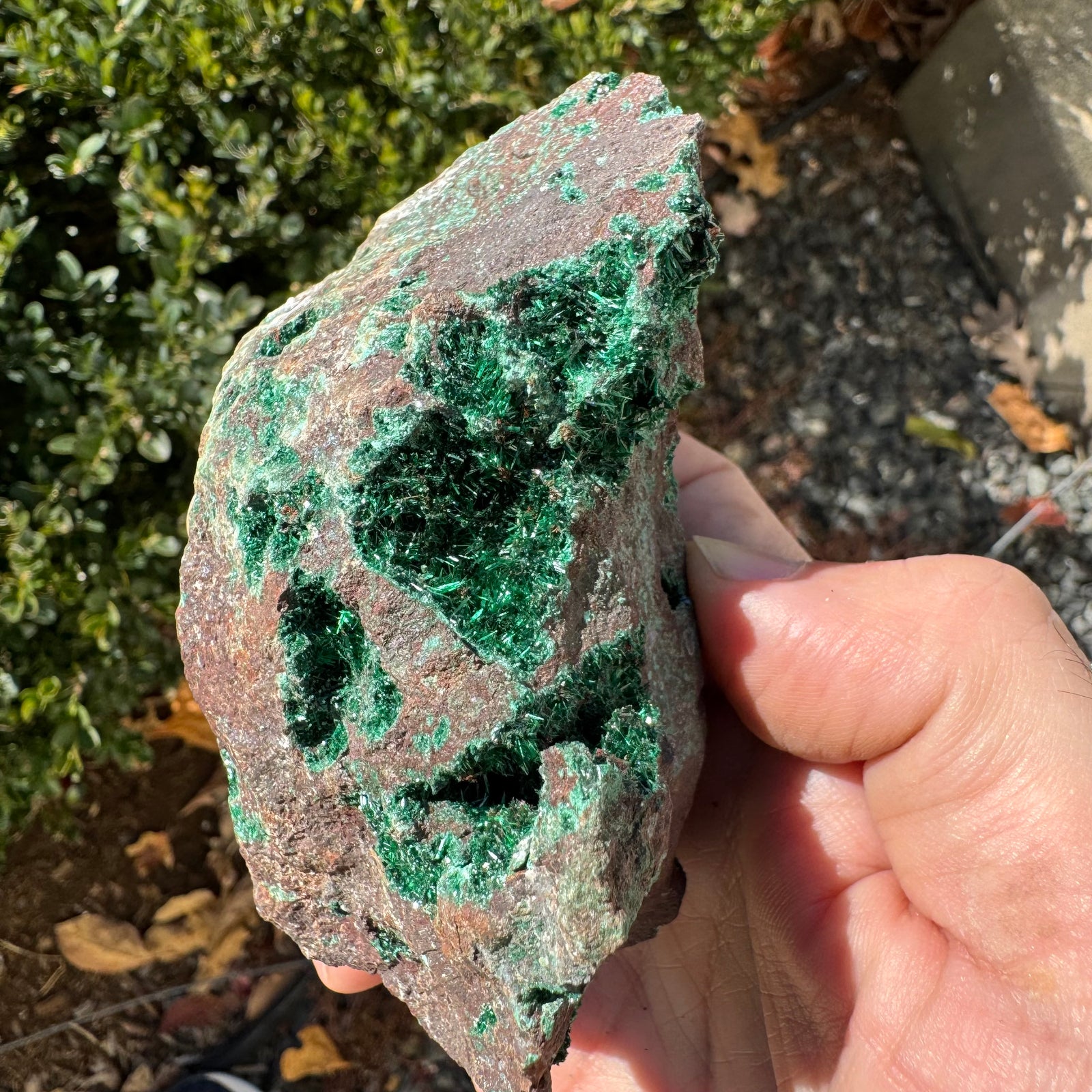 Brochantite Natural Mineral Specimen