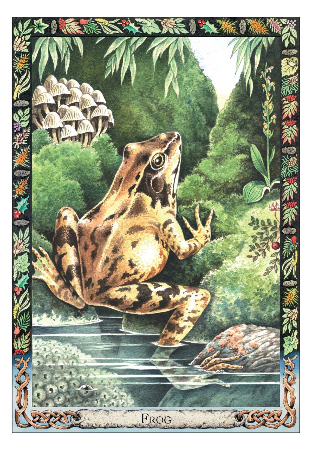 The Druid Animal Oracle Deck