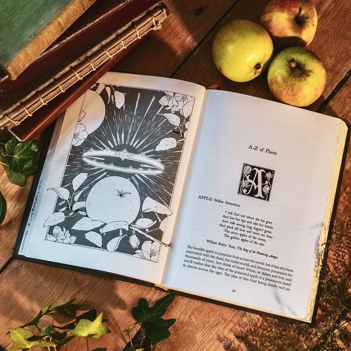 Botanical Curses and Poisons: The Shadow-Lives of Plants (Co