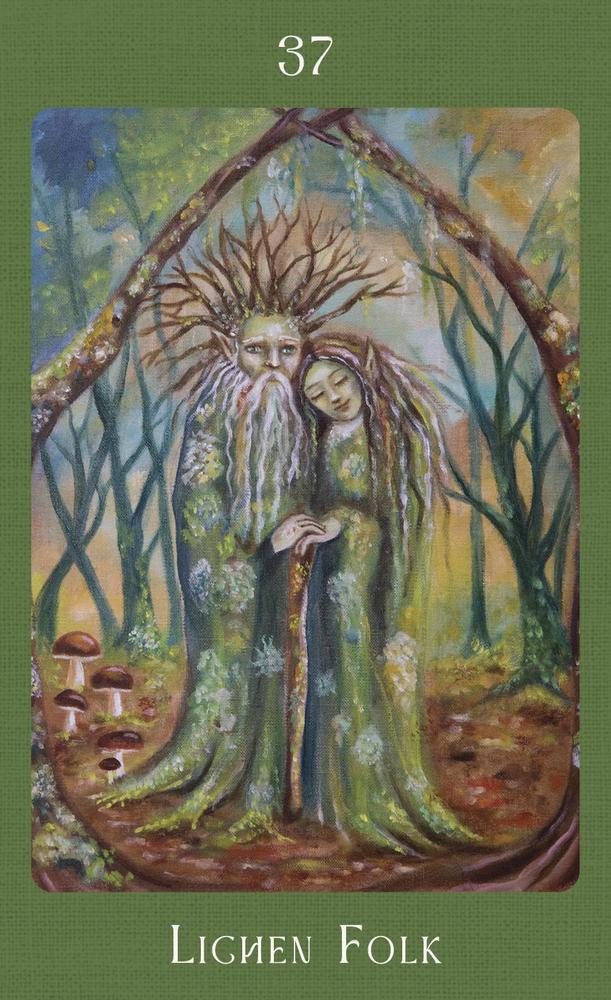 Mushroom Folk Oracle – Gentle Wisdom from the Forest Floor