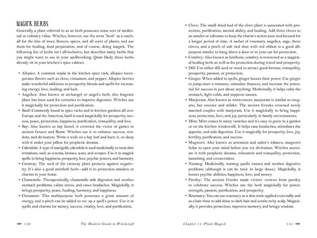 Modern Guide to Witchcraft by Skye Alexander