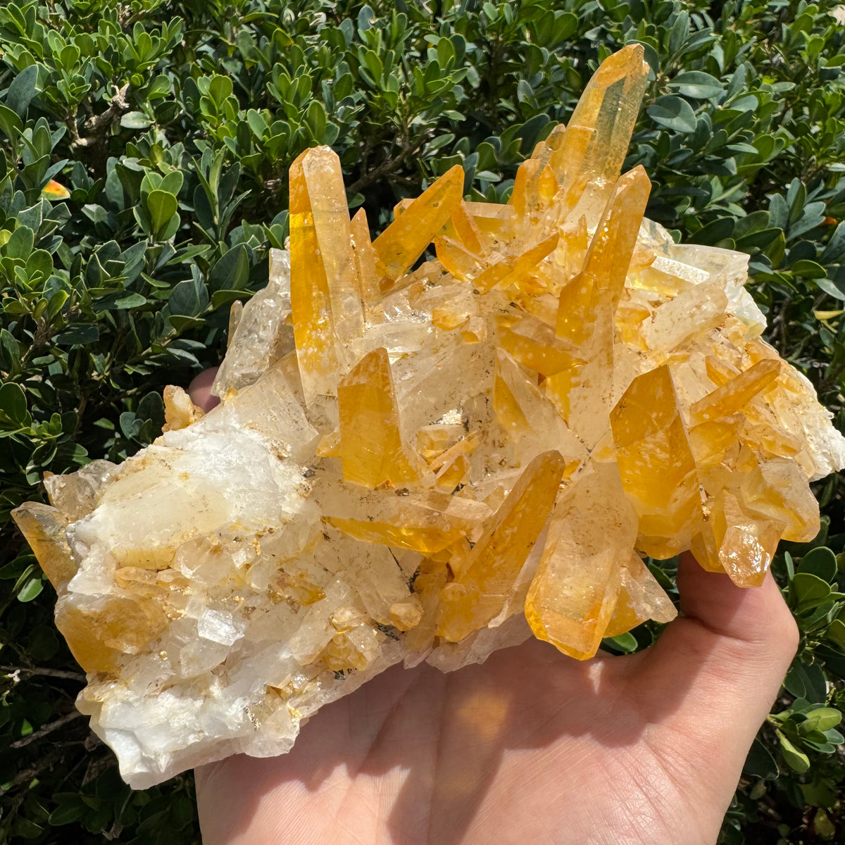 Iron Oxide Colombian Quartz Point Cluster | 1390g