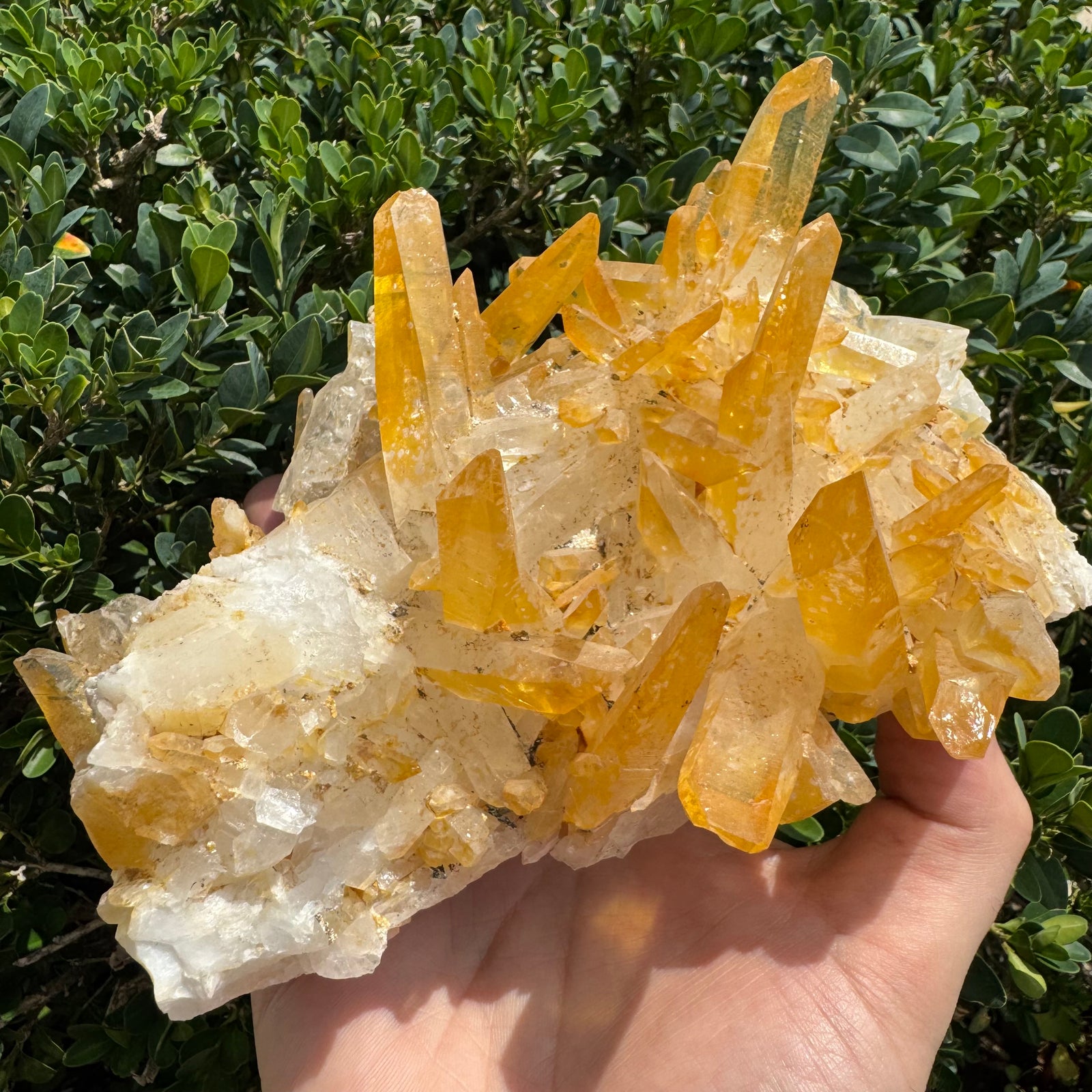 Iron Oxide Colombian Quartz Point Cluster | 1390g