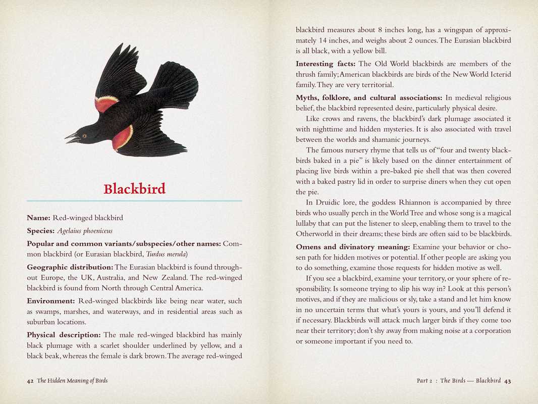 The Hidden Meaning of Birds – Discover Spiritual Signs, Bird Symbolism & Divine Messages