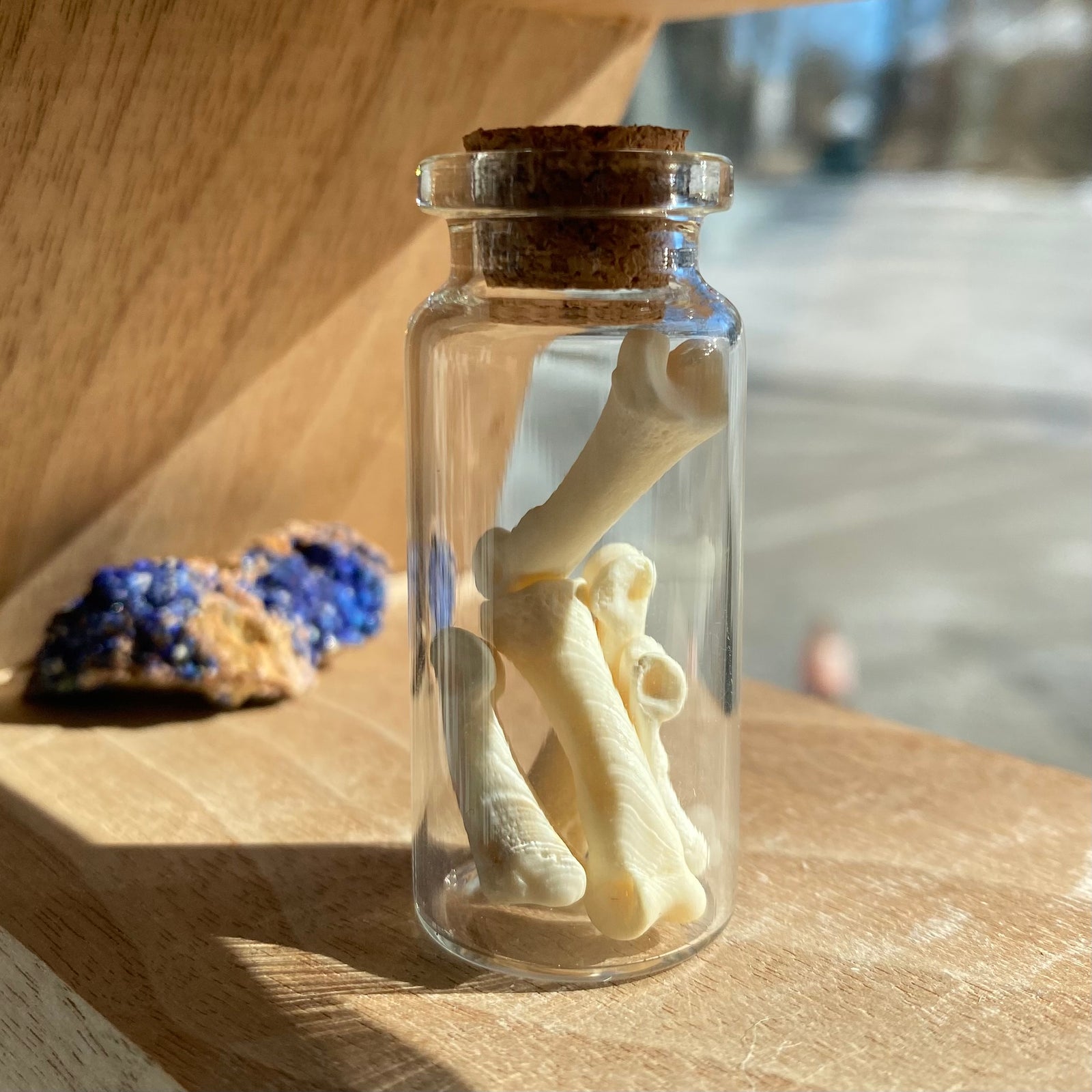 Claws, Jaws, and Such