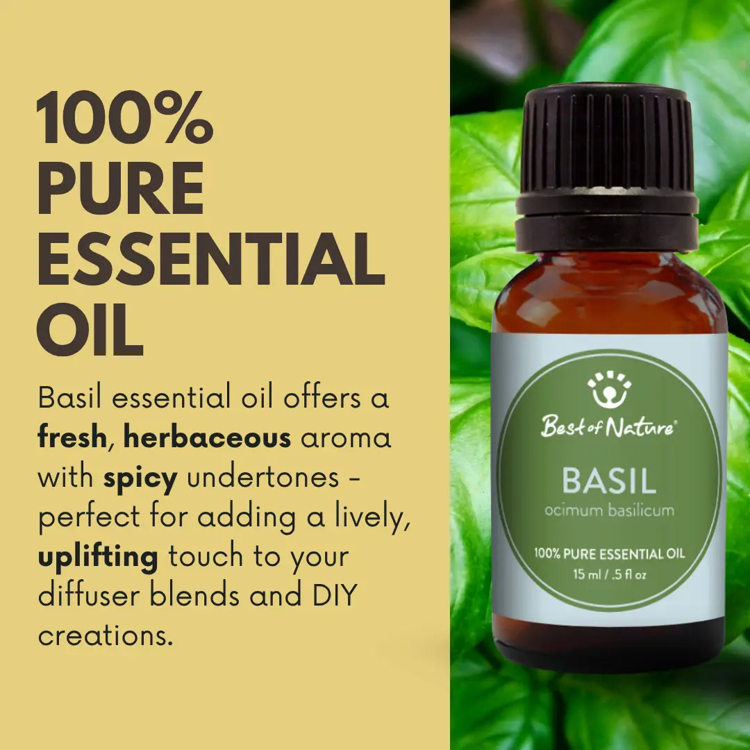 Sweet Basil Essential Oil