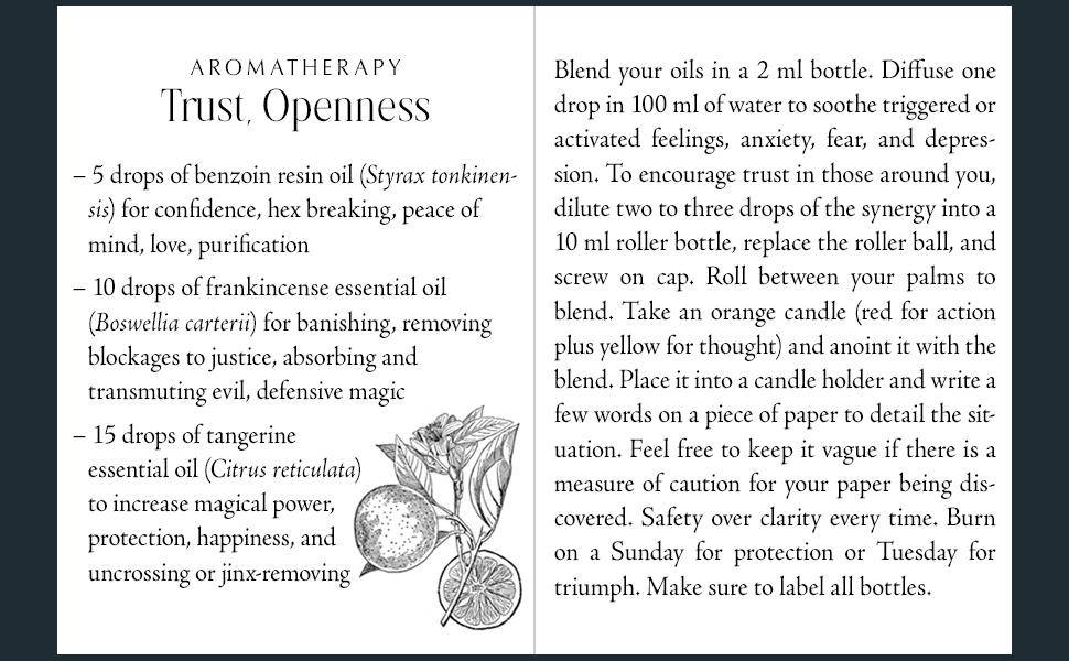 Blackthorn’s Botanical Shadow Work (Plant Magic Book)