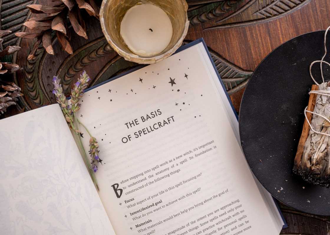 Spells for Change: A Guide for Modern Witches by Frankie  Castanea