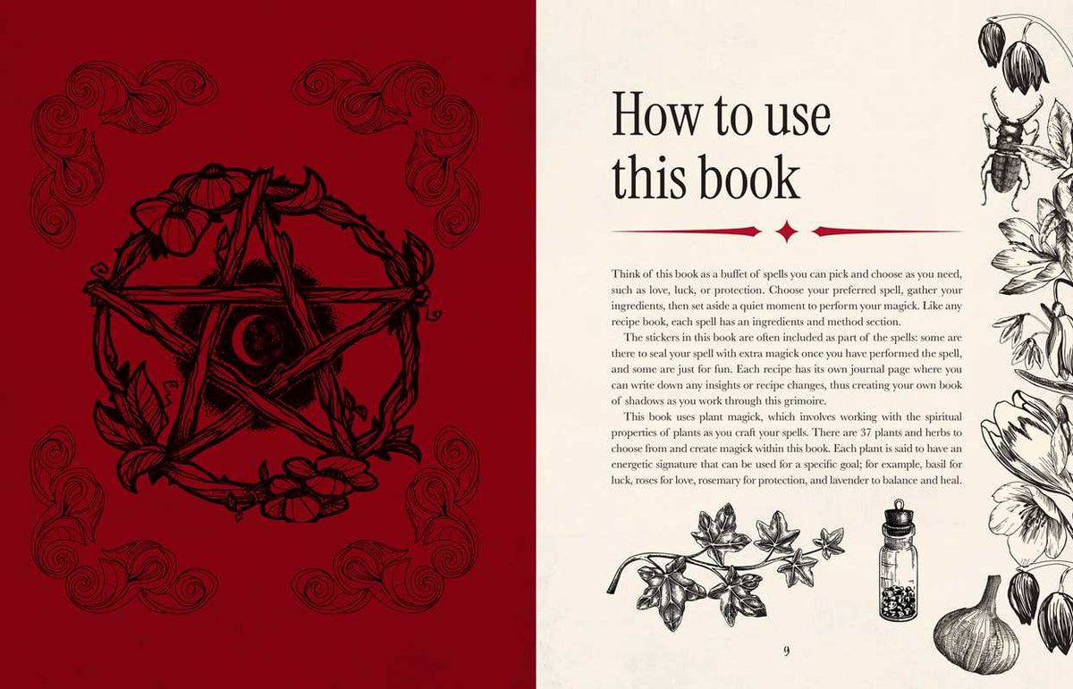 Witch’s Magickal Spellbook – Create Charms, Potions & Plant Magic for Love, Luck &amp; Renewal