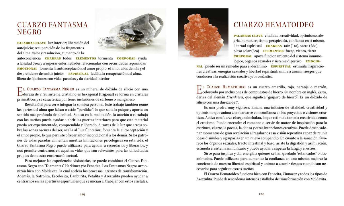 Libro de bolsillo de piedras by Robert Simmons