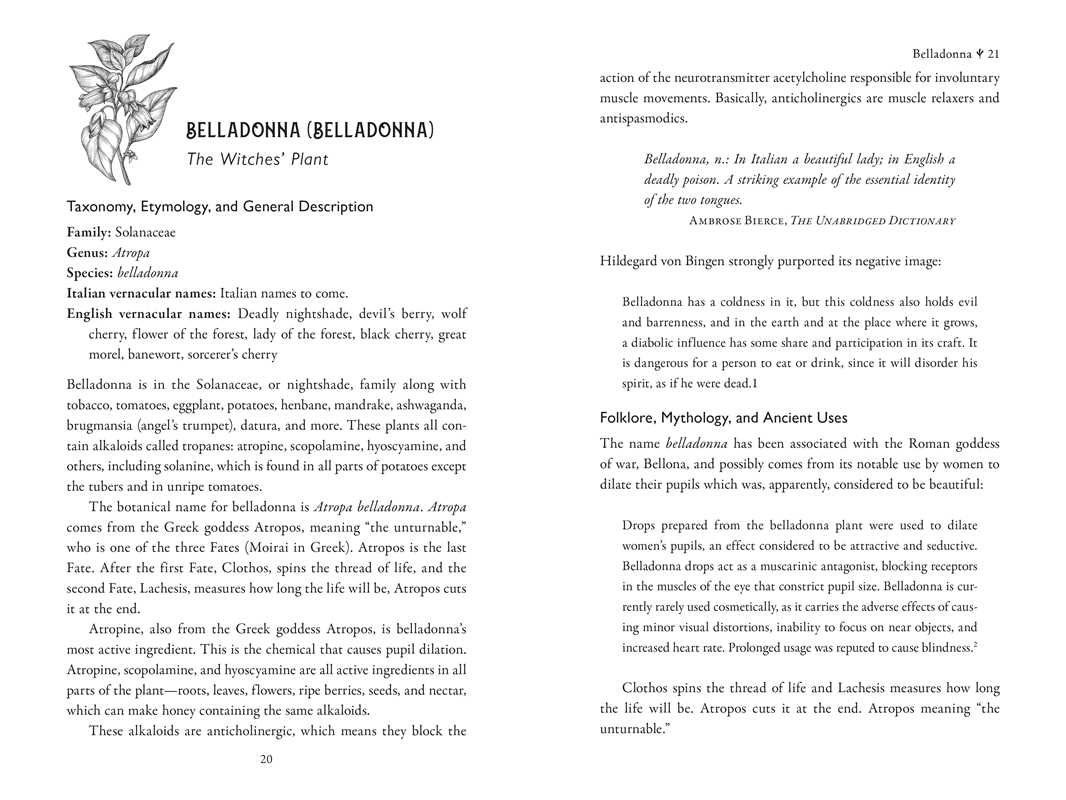 Della Medicina by Lisa Fazio