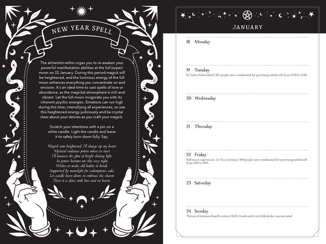 2027 Witch's Diary and Planner Calendar - Northern Hemisphere by Flavia  Kate Peters