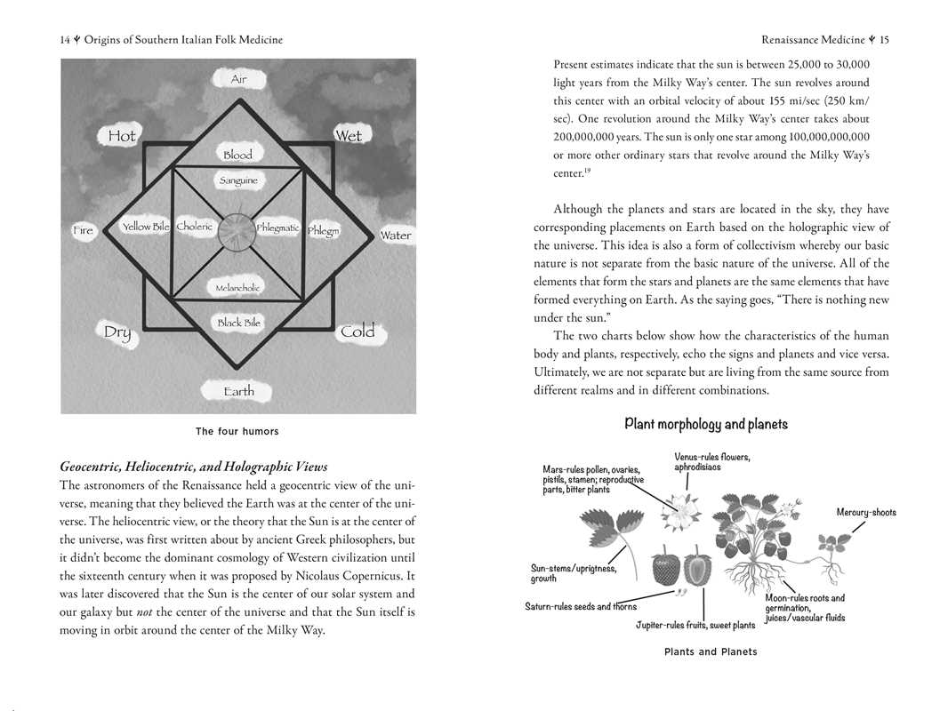 Della Medicina by Lisa Fazio