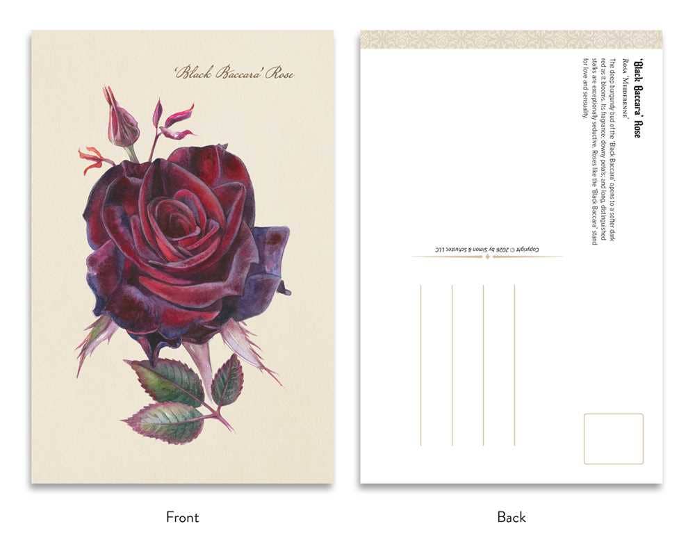 Goth Garden: Dark Blooms by Felicia Feaster