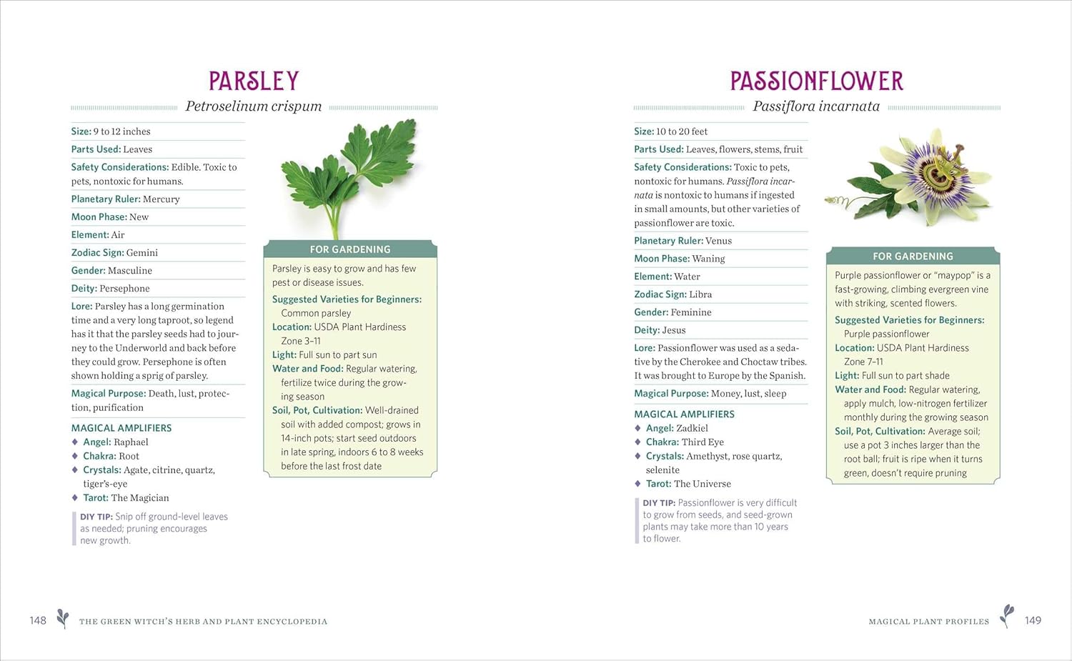 The Green Witch's Herb and Plant Encyclopedia: 150 Ingredients for Everyday Witchcraft