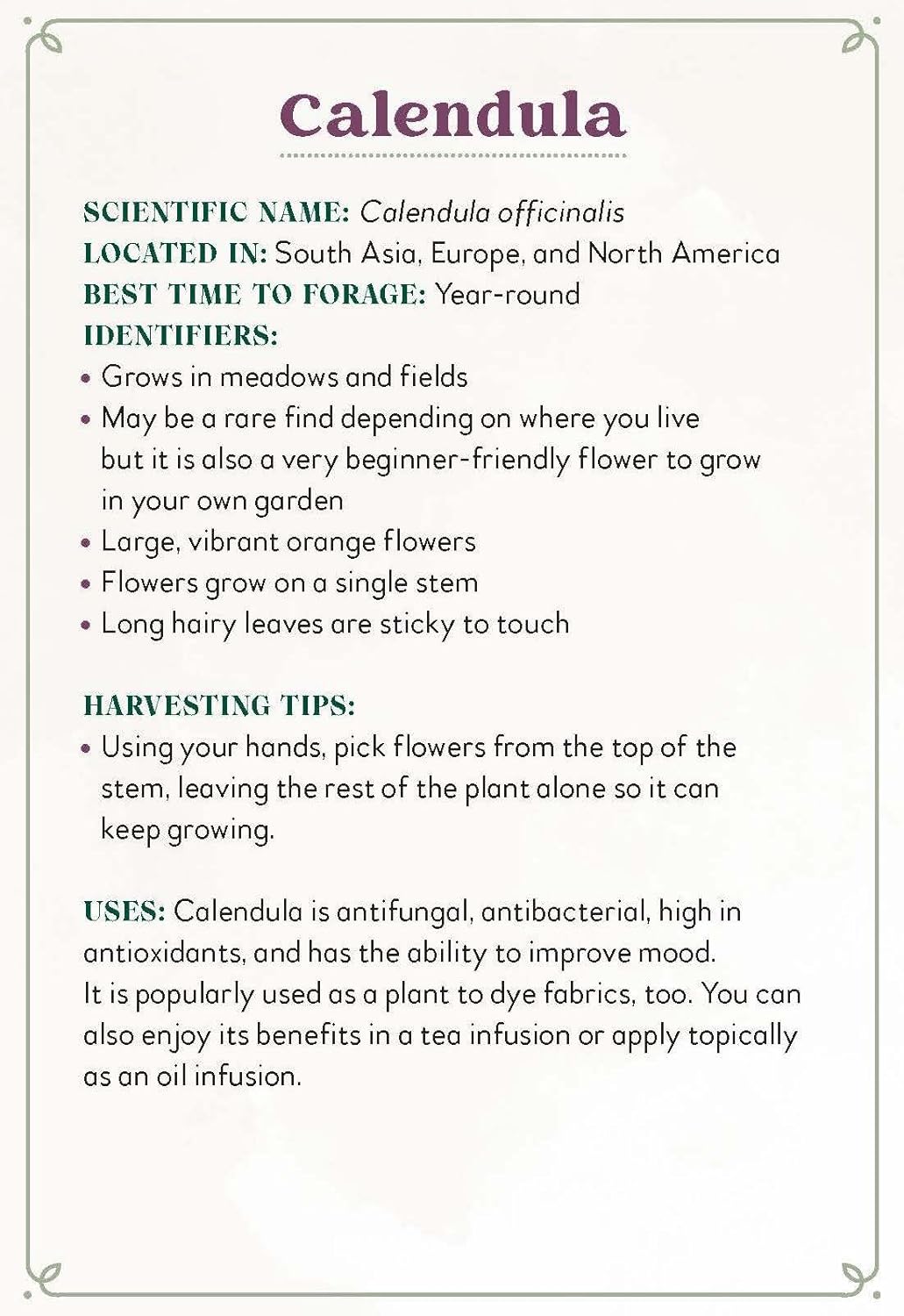 Enchanted Foraging Deck