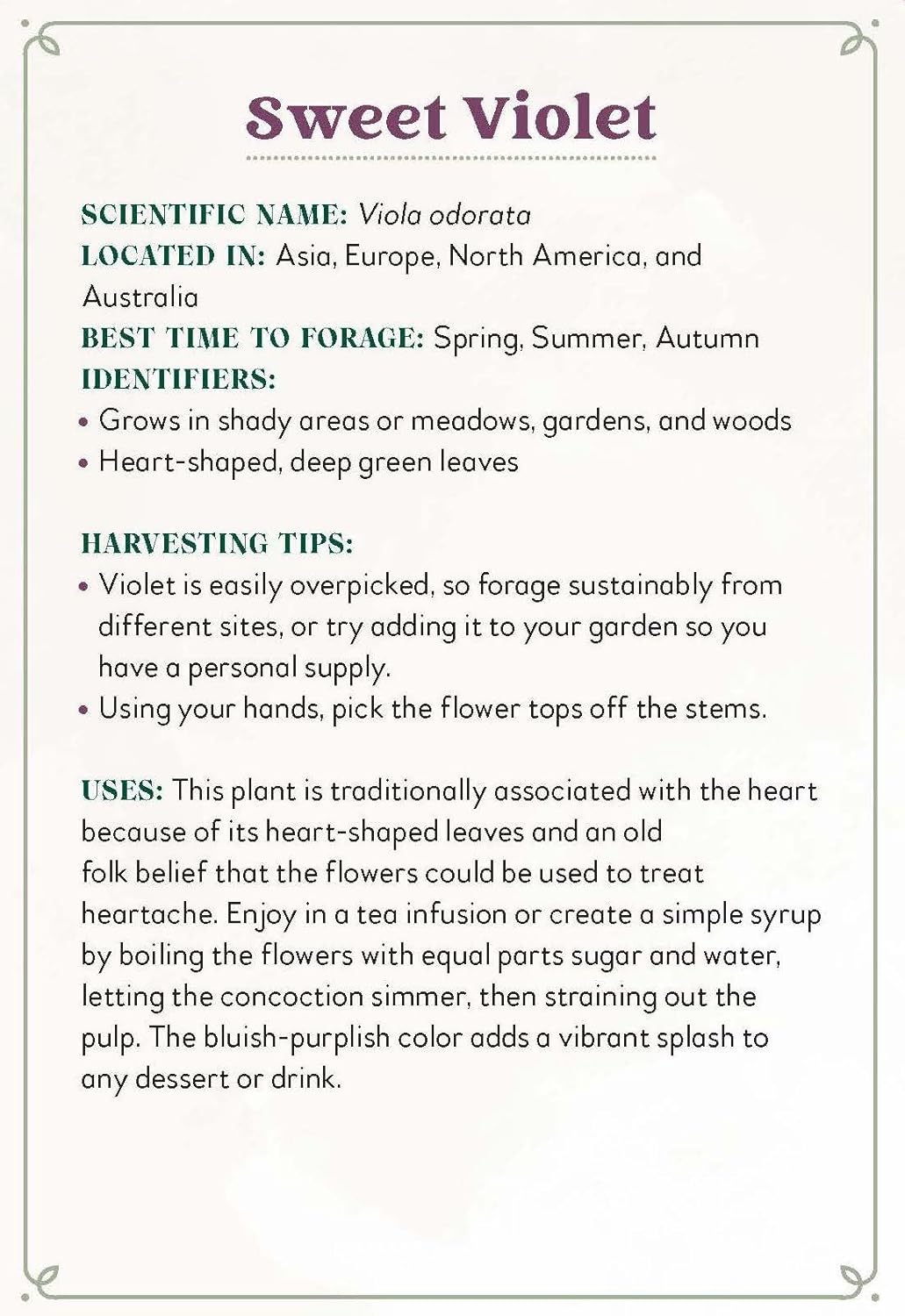 Enchanted Foraging Deck