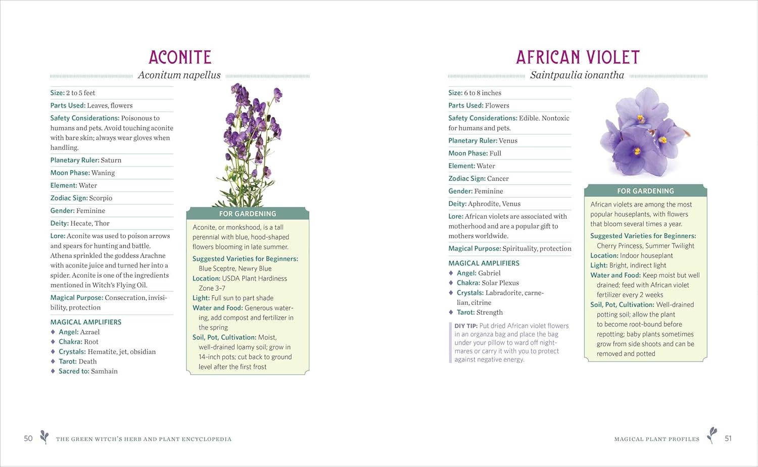 The Green Witch's Herb and Plant Encyclopedia: 150 Ingredients for Everyday Witchcraft