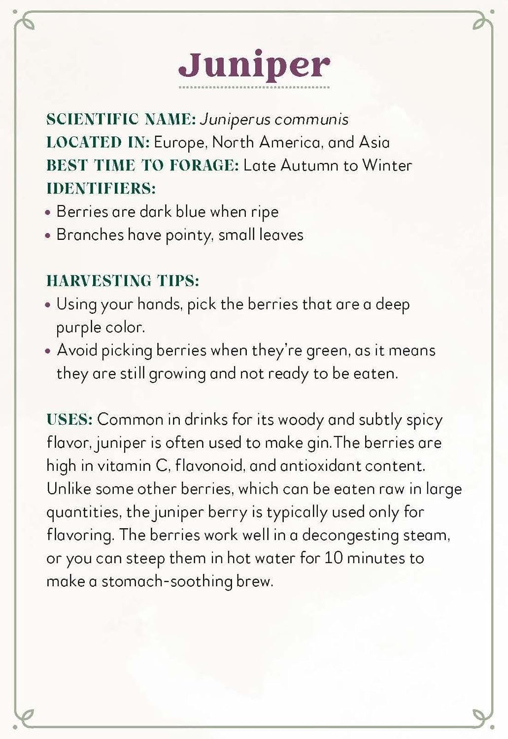 Enchanted Foraging Deck