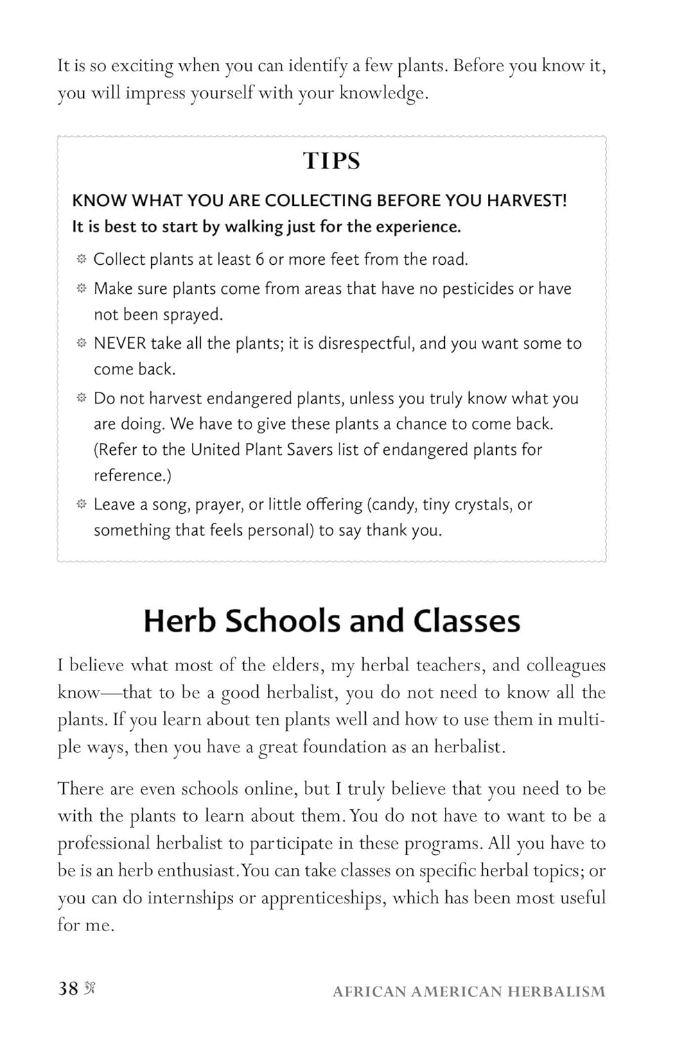 African American Herbalism