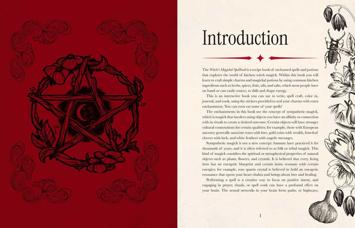 Witch’s Magickal Spellbook – Create Charms, Potions & Plant Magic for Love, Luck &amp; Renewal