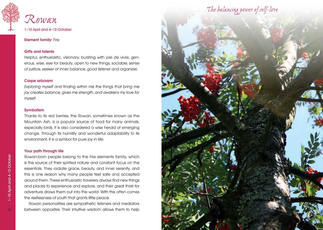 The Tree Horoscope – Discover Your Birth-Tree, Gifts &amp; Personal Destiny